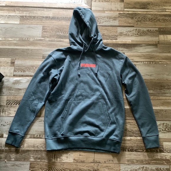 APOLLO GRAPHIC OVERSIZED HOODIE | Teal - Picture 4 of 5